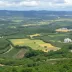 Carta Capital cita pesquisa realizada para Paraná Pesquisas no Estado do Alagoas.