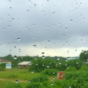 Chuva volta a Alagoas nesta quarta (15); confira a previsão do tempo