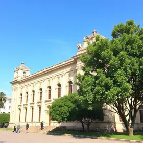 Museu Théo Brandão: guia completo para planejar sua viagem