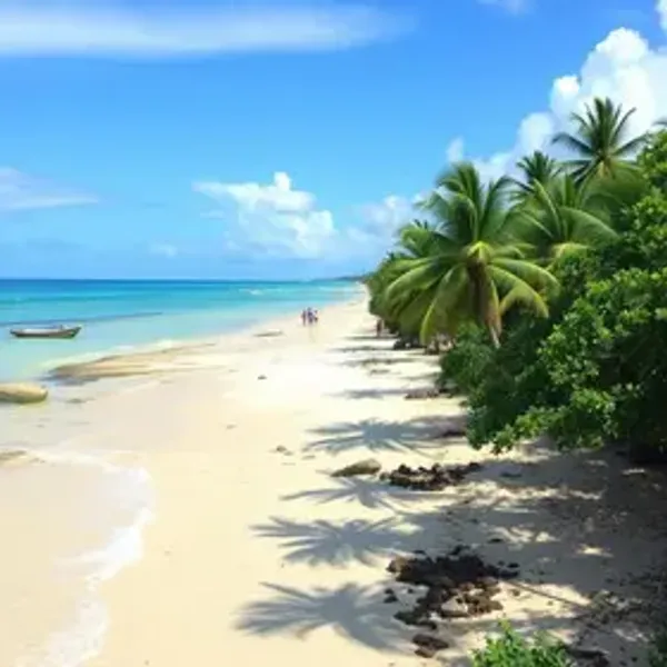 Como se locomover em Alagoas: guia prático para planejar sua viagem
