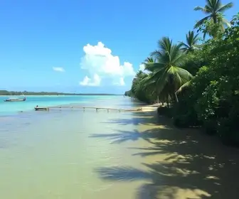 Transfer de Maceió para Piranhas: guia prático para planejar sua viagem