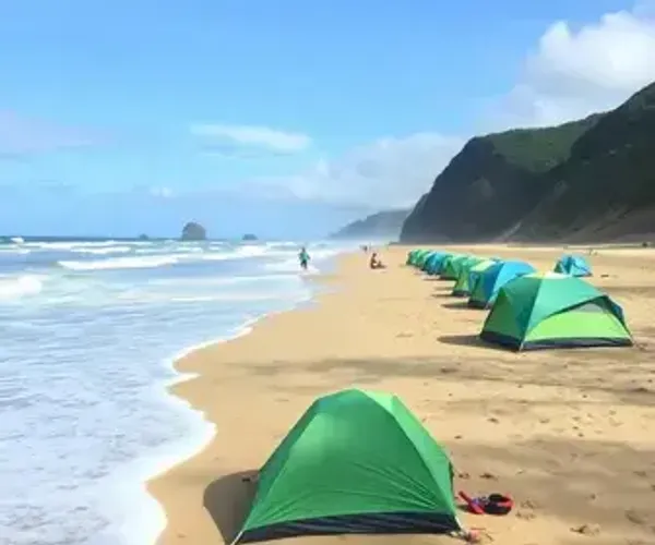 Barracas de praia na Praia do Gunga: estrutura, maré, acesso e dicas de visita