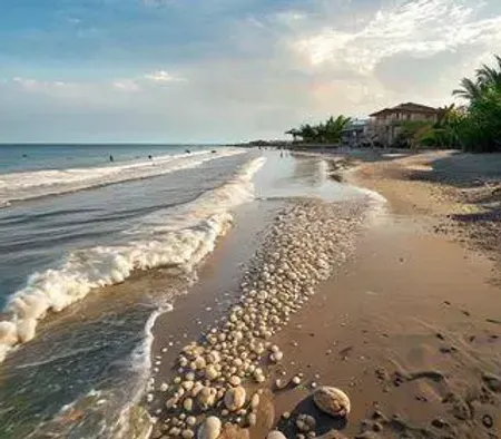 Estrutura da Praia de Ipioca: estrutura, maré, acesso e dicas de visita