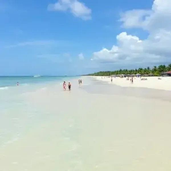 Praias de Alagoas para crianças: estrutura, maré, acesso e dicas de visita