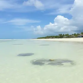 Praia de Guaxuma em Maceió: estrutura, maré, acesso e dicas de visita