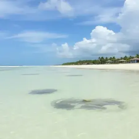 Praia de Guaxuma em Maceió: estrutura, maré, acesso e dicas de visita