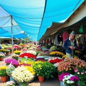 Seu Dia Pede Flores amplia conexões e abre novas possibilidades para o mercado floral alagoano