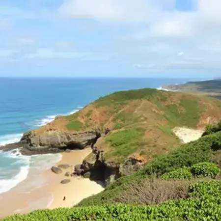 Mirante da Praia do Gunga: estrutura, maré, acesso e dicas de visita