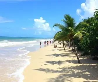 Festas populares de Alagoas: guia prático para planejar sua viagem