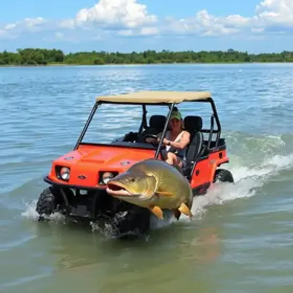 Passeio de buggy em Piranhas: guia prático para planejar sua viagem
