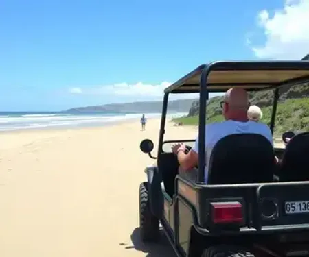 Passeio de buggy em São Miguel dos Milagres: guia prático para planejar sua viagem