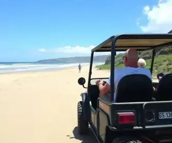 Passeio de buggy em São Miguel dos Milagres: guia prático para planejar sua viagem