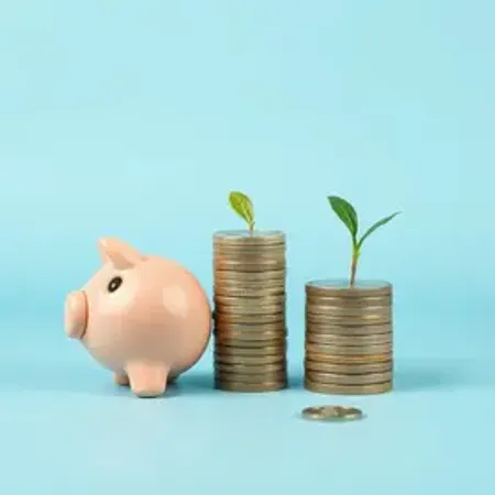 Aposentada reorganiza vida financeira após orientação do Procon Maceió