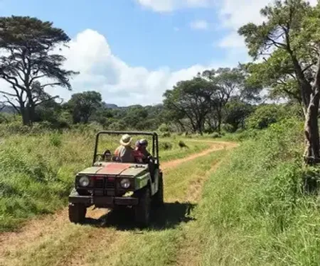 Passeio de buggy em Foz do Rio São Francisco: guia prático para planejar sua viagem