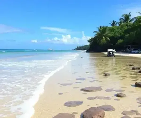 Maré baixa em Maragogi: estrutura, maré, acesso e dicas de visita