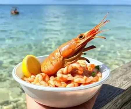 Onde comer camarão em Alagoas: lugares para comer bem e dicas locais