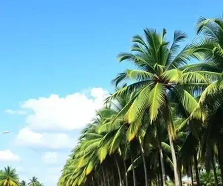 Pajuçara: guia completo para planejar sua viagem