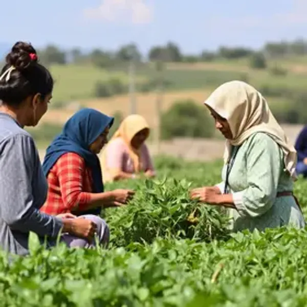 Comissão das Mulheres do Agro encerra ciclo de encontros regionais com seminário no agreste do estado