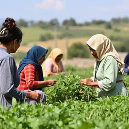 Comissão das Mulheres do Agro encerra ciclo de encontros regionais com seminário no agreste do estado