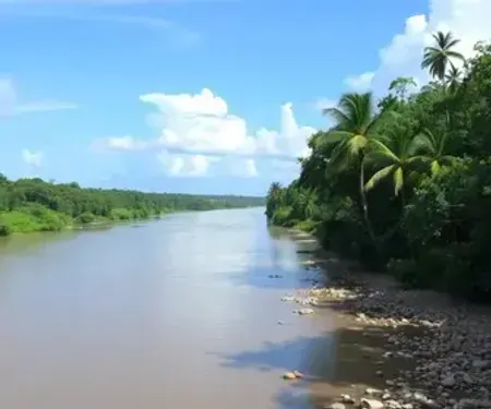 Rio São Francisco em Alagoas guia: guia prático para planejar sua viagem