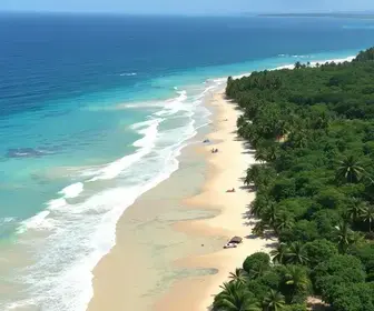 Carta aberta ao governador de Alagoas
