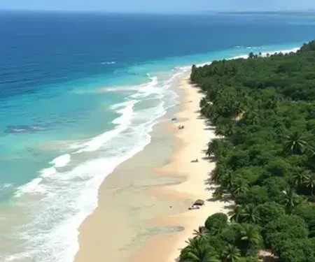 Carta aberta ao governador de Alagoas