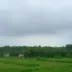 Inmet emite alerta de chuvas intensas para 87 municípios de Alagoas nesta segunda