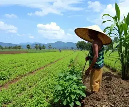 Orientação técnica busca preparar produtores rurais de Alagoas para impactos climáticos do El Niño
