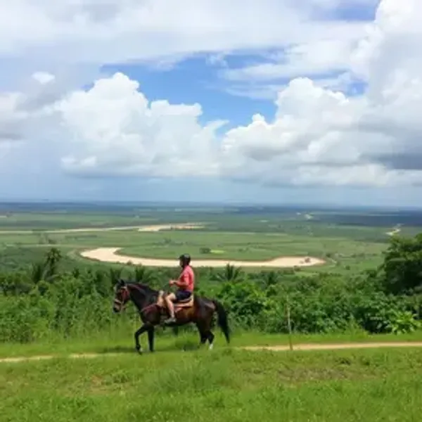 Passeio de jangada em Alagoas vale a pena? Veja quando compensa e como planejar