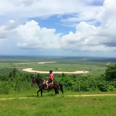 Passeio de jangada em Alagoas vale a pena? Veja quando compensa e como planejar