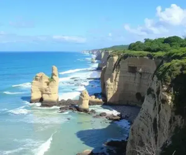 Porto de Pedras: guia completo para planejar sua viagem
