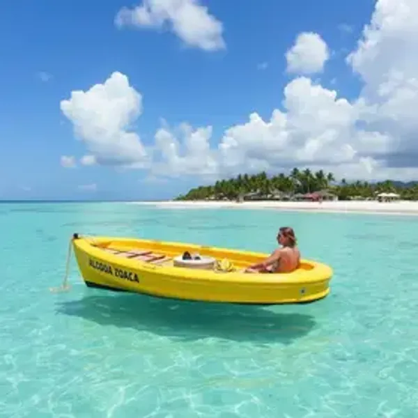 Verão em Alagoas vale a pena? Veja quando compensa e como planejar
