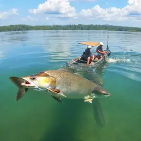 Passeio de lancha em Piranhas: guia prático para planejar sua viagem