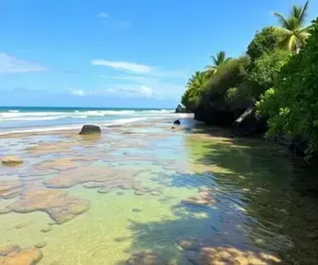 Piscinas Naturais da Pajuçara em Maceió: estrutura, maré, acesso e dicas de visita