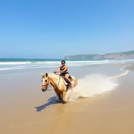 Passeio de jangada em Praia do Francês: estrutura, maré, acesso e dicas de visita