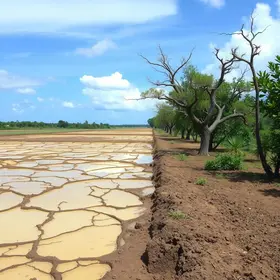 Estiagem leva mais dois municípios de Alagoas à situação de emergência
