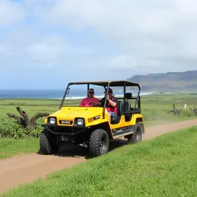 Passeio de buggy em Barra de São Miguel: guia prático para planejar sua viagem