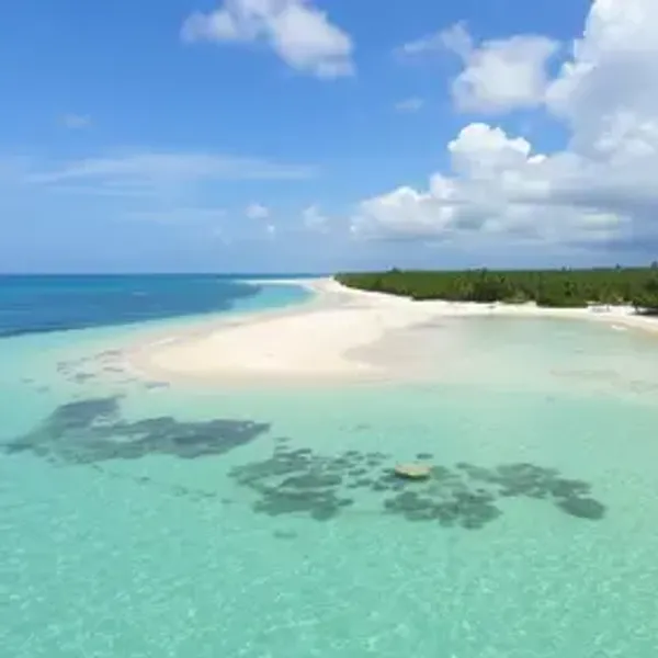 Praias mais bonitas de Alagoas: estrutura, maré, acesso e dicas de visita