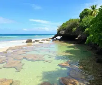 Piscinas naturais de Maragogi: estrutura, maré, acesso e dicas de visita