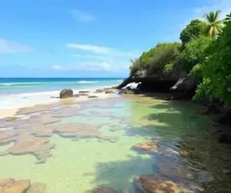 Piscinas naturais de Maragogi: estrutura, maré, acesso e dicas de visita