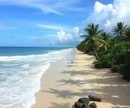 Veja como fica o tempo em Alagoas neste fim de semana