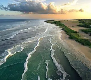 Tábua de maré online Alagoas: estrutura, maré, acesso e dicas de visita